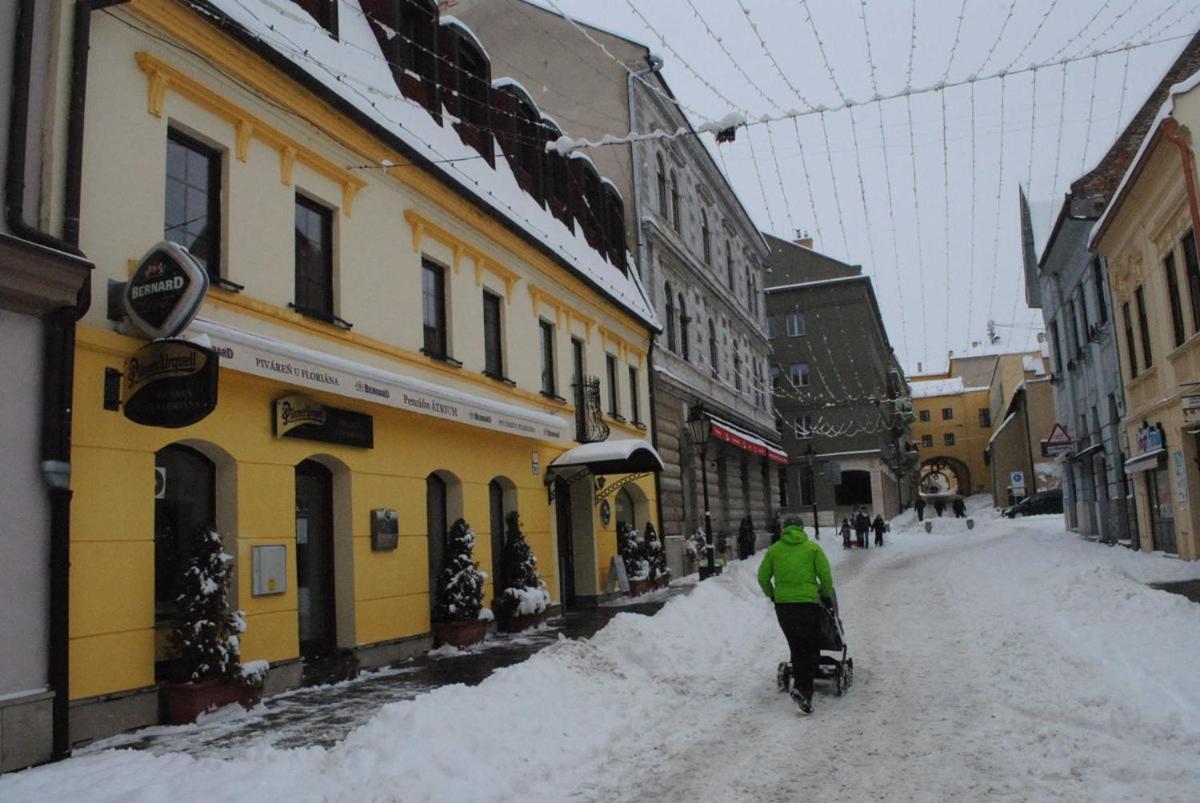 Penzion Atrium Presov Bagian luar foto